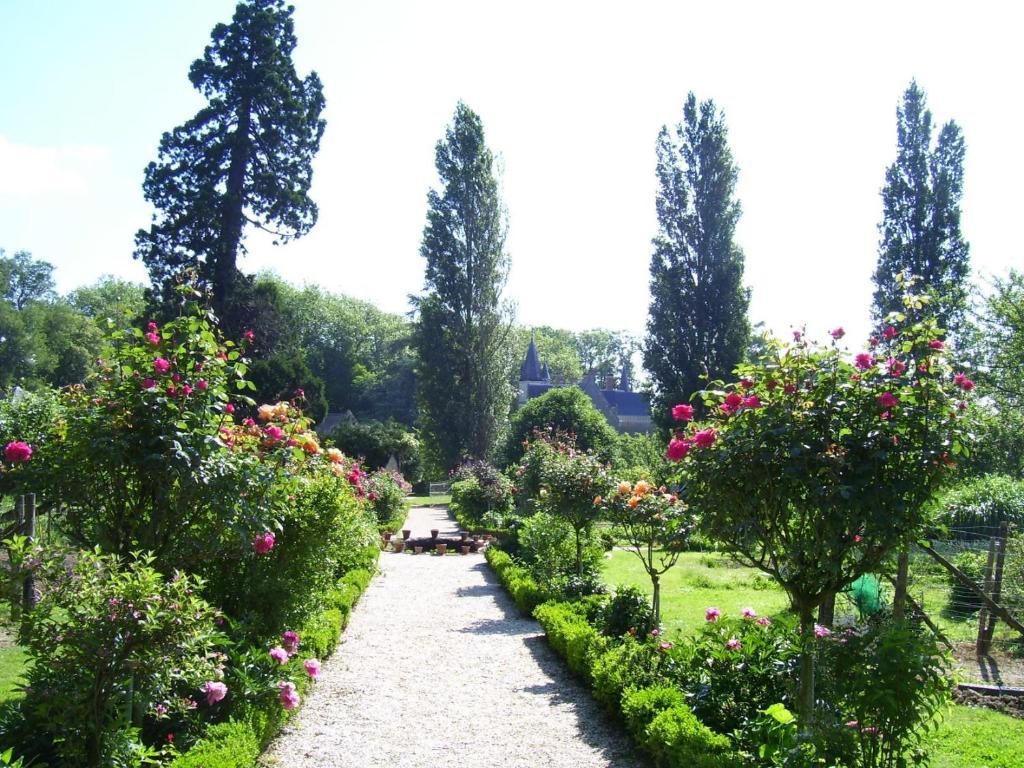 Chateau De Montriou Feneu Ngoại thất bức ảnh
